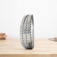 Lame de scie à ruban de 4650 mm, outil haute performance pour la coupe du bois