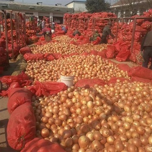 Verduras Frescas chinas, precio barato, cebollas amarillas frescas, Exportación al mercado australiano - Product Image 4