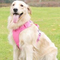 Harnais et laisse pour chien en nylon robuste, design léger et respirant, avec des caractéristiques réglables et confortables