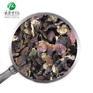 Extrato de cogumelo Reishi em pó UV de qualidade alimentar, água corporal de frutas e qualidade etônica, planta natural, extrato de cogumelo <span class=keywords><strong>Shiitake</strong></span> 10g-20g - Product Image 2