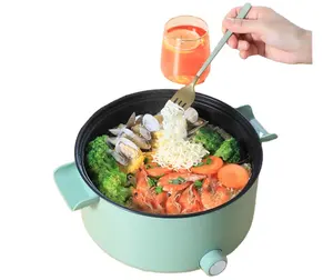 CHINA SUPPLIER COOKING HOT POT GOOD QUALITY Multi-function electric cooker 3L large capacity electric hot pot cooker