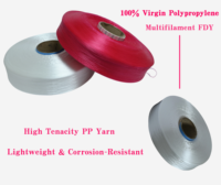 High Strength High Tenacity Colored Polypropylene Yarn 200D-2000D Custom Filament Yarn for Hand Knitting OEM Webbing