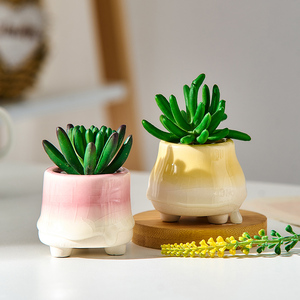 Jolies mini-pots de fleurs en céramique, accessoires de <span class=keywords><strong>jardin</strong></span>, décoration de chambre kawaii, accessoires de bureau, pots de fleurs, cadeaux en pot - Product Image 2