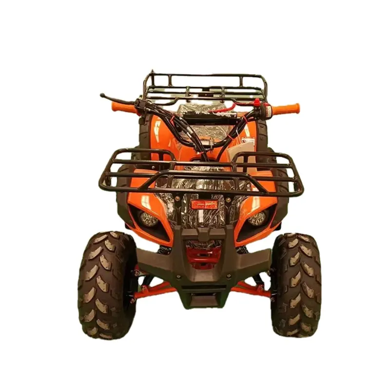 Mini arazi aracı ATV 125cc gaz yakıt otomatik zincirli tahrik sistemi 4 zamanlı motor 2WD disk fren yetişkinler için