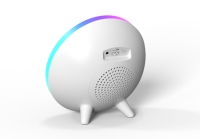 Speaker RGB Portabel dengan Mic Terintegrasi untuk Daya Tahan Baterai 3-5 Jam, Komunikasi Wi-Fi USB/AUX, Lampu LED Berkedip, Daya DC