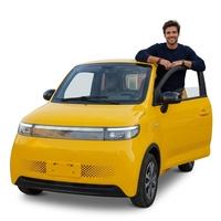 ELION A6 Voiture électrique de haute qualité à 4 roues et 2 places, mini-voiture électrique haute vitesse pour adultes, certifiée EEC, véhicule à énergie nouvelle