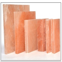 Haute qualité naturel himalayen rose sel briques bloc Pakistan rose himalayen sel brique carreaux de mur sculpté amour écologique