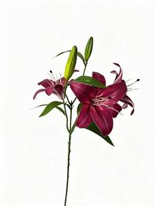 Einzelner Stiel, 3 Blüten, <span class=keywords><strong>2</strong></span> Knospen, künstliche Lilie, realistische Kunstblumen für Hotel-Tischdekoration, Party-Deko - Product Image 5