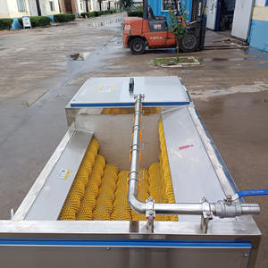 Compre cúrcuma, máquina peladora de lavado de jengibre, compre cúrcuma, máquina peladora de lavado de jengibre, máquina de limpieza de cepillo de rábano - Product Image 2