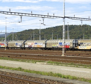 Transporteur de fret ferroviaire de la Chine vers l'Europe Allemagne France Service d'expédition DDU/DDP Produit ferroviaire <span class=keywords><strong>express</strong></span> - Product Image 6