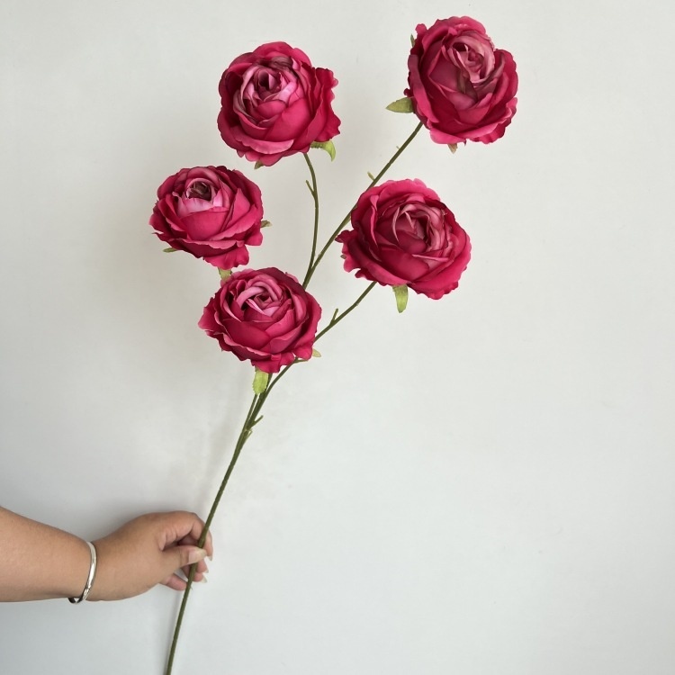 #6 rose rosse