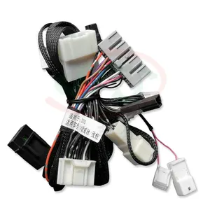 Widely Used Dy150-6 Cable Wiring Harness Trucks Drive By Wire Ls Standalone Wire Harness for Car