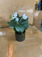 Plante en pot de 17 cm de style nordique, figuier à feuilles de violon en forme de cœur, de haute qualité, avec fleurs, pour la décoration de la maison ou du bureau