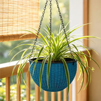 Pots suspendus traditionnels à double compartiment, auto-arrosants, avec trou de drainage, 1,28 L, en PP, pour usage intérieur/extérieur, pour la maison et le jardin