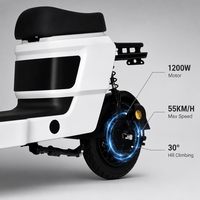 Scooter électrique 1200W 130km, moto, cyclomoteur de livraison homologué pour la route, pour adultes, vélo électrique