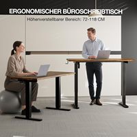 Scrivania Elettrica Regolabile in Altezza 48x24 Pollici, Design Ergonomico Classico Sit-Stand, Gestione Cavi, 2 Impostazioni Memorizzabili, per Casa e Ufficio