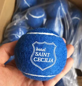 Теннисные мячи для домашних питомцев, экологически чистые резиновые мячи диаметром 2,5 дюйма с логотипом под заказ, мячи для тренировок и бросания собак