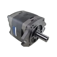IPV IPVP IPVP IPVS 3 4 5 6 7 pompe à engrenages hydraulique IPVS5-25-101 IPVP 5-32 151 IPVS6-100-101 IPVAP 5 50 101 pompe à engrenages hydraulique