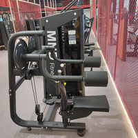 Machine à soulever latéralement en promotion – Équipement de fitness commercial pour salle de sport et entraînement sportif