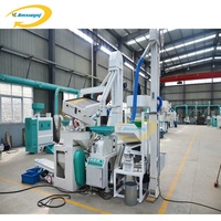 Moulin à Riz Combiné Automatique de 1 Tonne par Heure à Usage Commercial pour le Décorticage du Riz Basmati du Népal, Usine de Traitement du Riz aux Philippines