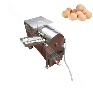Eierwaschmaschine trockener Preisliste automatische kleine Gänseneierreinigungsmaschine