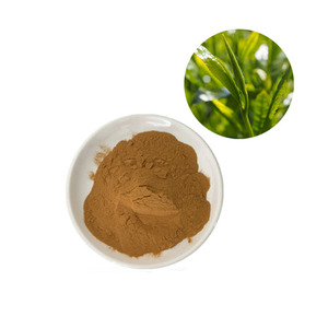 Extracto de Hojas de Té Verde de Alta Calidad <span class=keywords><strong>Soluble</strong></span> en Agua, 10%-98% de Polifenoles, Polifenoles de Té 50%, Extracto de Té Verde en Polvo - Product Image 3