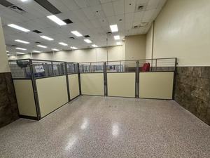 أقفاص كلاب فاخرة من الفولاذ المقاوم للصدأ / HDPE مع باب زجاجي، وحدات معيشة للحيوانات الأليفة، بيوت للكلاب - Product Image 2