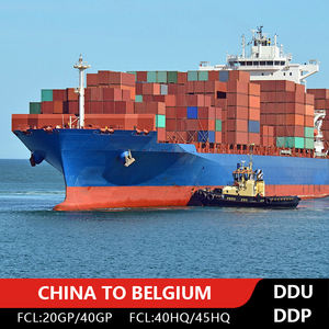 Prezzo competitivo LCL + Express tariffe di spedizione internazionale da cina a belgio mare trasporto logistico - Product Image 3