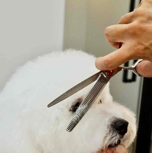 Ensemble de ciseaux de toilettage pour animaux de compagnie Fusion asiatique professionnelle en acier et acier inoxydable pour chiens et chats outils de toilettage emballés en vrac - Product Image 1