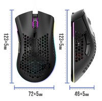 Souris de jeu RGB Rechargeable sans fil, Design ergonomique, souris de jeu optique légère en nid d'abeille avec rétro-éclairage