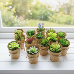 Mini <span class=keywords><strong>cactus</strong></span> artificiel <span class=keywords><strong>pas</strong></span> <span class=keywords><strong>cher</strong></span> dans un pot en papier, fait main, réaliste, durable, décoration intérieure - Product Image 4