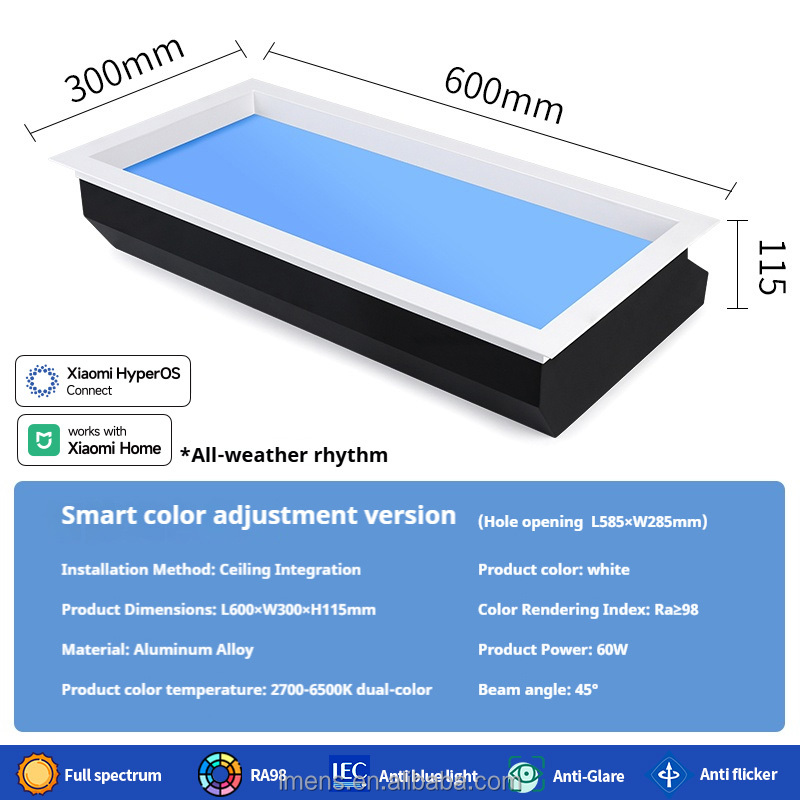 ultra-mince300*600[Plafond intégré]-Mi Home Intelligence