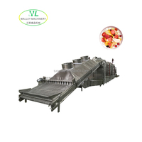 Chinese roestvrijstalen 304 voedselverwerkingsmachine voor groente- en fruitfabrieken, inclusief after-sales ondersteuning voor de fabriek.