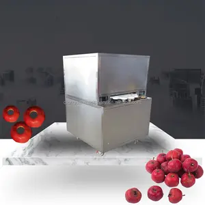 Electric pickled green plums Destoner nectarines jujube longan apple cutting Pit Remove Machine Dried Dates Pitting Machine sale