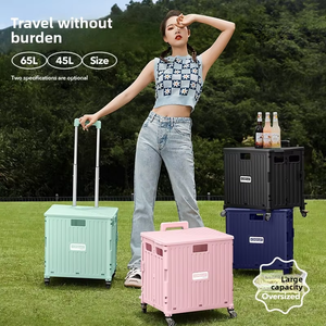 Carrello della Spesa Pieghevole di Alta Qualità 2025 con Coperchio, Trolley a Quattro Ruote OEM in Plastica Resistente - Product Image 4