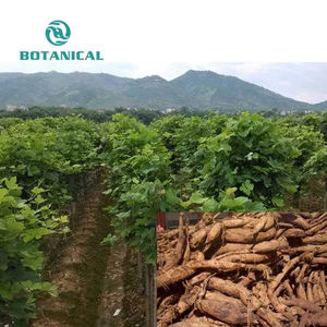 OEM, корневой экстракт Pueraria Lobata, корневой экстракт кудзу, порошок, 98% пуэрарин - Product Image 3