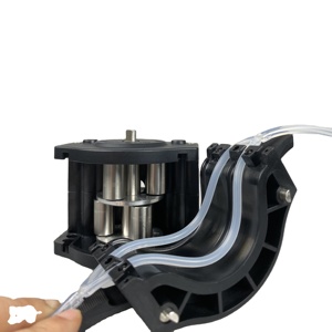 Cabezal de Bomba Peristáltica de Pulso Alto/Bajo Huiyu DMD15-2A para la Industria de Alimentos y Bebidas - Product Image 2
