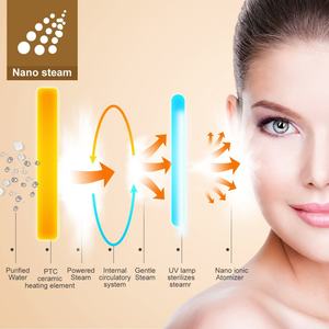 Vaporizador Facial Nano Iónico para Uso Doméstico con Logotipo Personalizado OEM, Máquina de Belleza Facial - Product Image 6