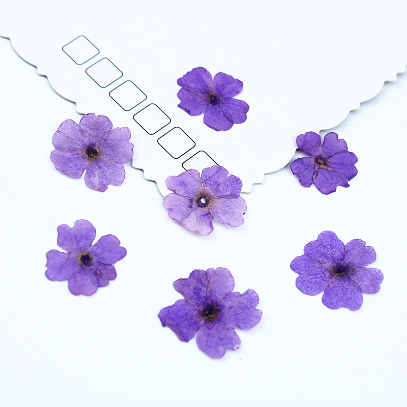 light purple 100pcs