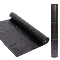 Empêcher le déplacement Agrotextile PP Tissu géotextile tissé