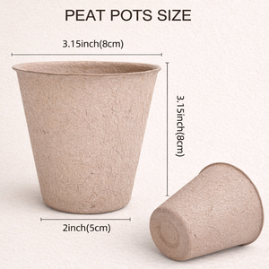 Barquettes à <span class=keywords><strong>semis</strong></span> et pots en tourbe biodégradables et compostables <span class=keywords><strong>pour</strong></span> la germination et la culture de plantes d'intérieur et d'extérieur - Product Image 3