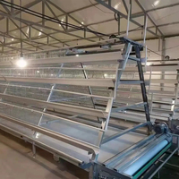 Les cages commerciales de pondeuse d'oeufs de poulet de TBB conçoivent l'équipement d'élevage de volaille de 3 ou 4 couches