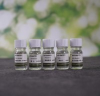 Diffuseur d'huiles essentielles au parfum de lavande personnalisable Bouteilles de diffuseur à roseaux écologiques Capacité de 5ml Ensemble d'échantillons gratuits Pet-Safe