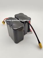 Batterie LiMn2O4 haute densité QB 10.8V-12.6V 3S/3S2P 21700 pour drones UAV RC, connecteur XT60, certifiée KC/CE, 500 cycles, 6 mois de garantie