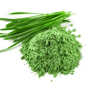 Poudre de Blé Vert Pur en Gros – Qualité Supérieure, Fine, pour Smoothies, Boissons, Pâtisseries, Cuisson et Recettes Alimentaires - Product Image 1
