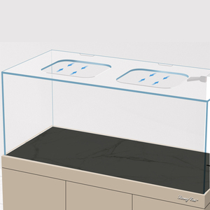 Acuario de cristal súper blanco para peces, terrario personalizado con luz LED, sin necesidad de cambio de agua ni filtro. - Product Image 4
