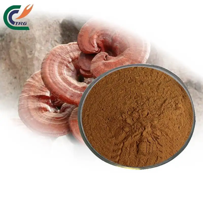 Kualitas Tinggi Ganoderma Lucidum Bulk Spore Extract Powder Reishi Mushroom Extract Powder