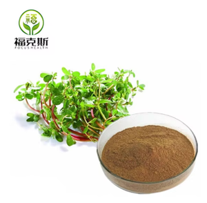 Chất lượng cao chiết xuất thảo dược <span class=keywords><strong>bacopa</strong></span> <span class=keywords><strong>monnieri</strong></span> chiết xuất bột với bacoposide lớn hơn than20 % - Product Image 1