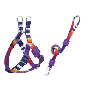 Bestes Polyester-Hundegeschirr mit personalisiertem Design, inklusive passendem Halsband und Leine für Outdoor-Abenteuer - Product Image 2