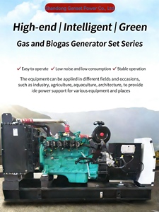 Generador de <span class=keywords><strong>Gas</strong></span> Propano de 90kw, Fácil Mantenimiento, Bajo Costo, Certificado CE, para Pequeñas Fábricas - Product Image 6